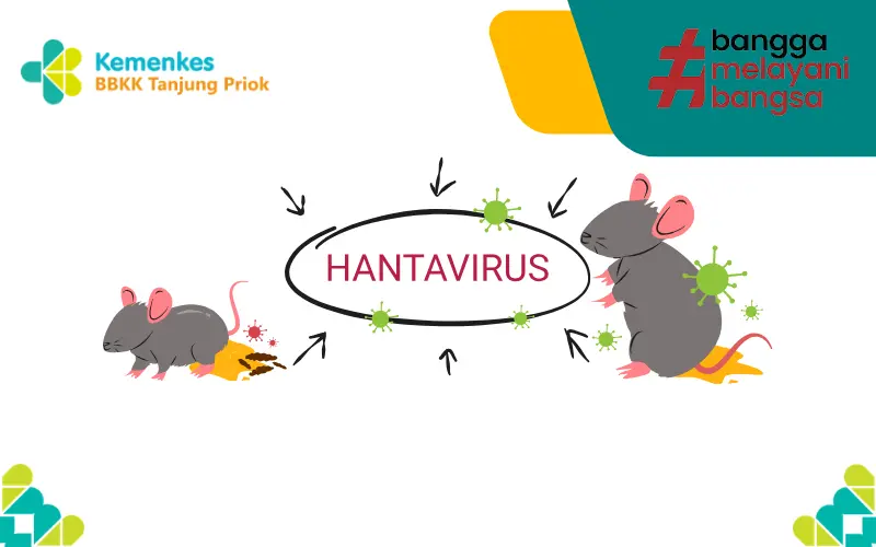 WASPADA VIRUS HANTA