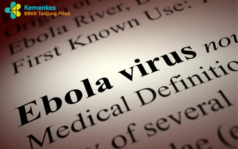 Ebola: Ancaman Penyakit Mematikan yang Tetap Menjadi Perhatian Dunia